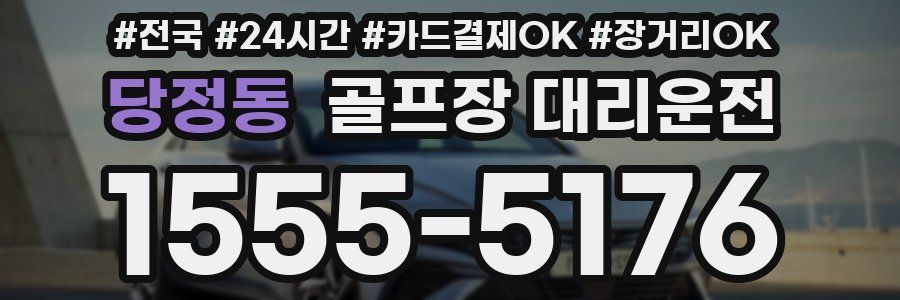 당정동 골프장 대리운전