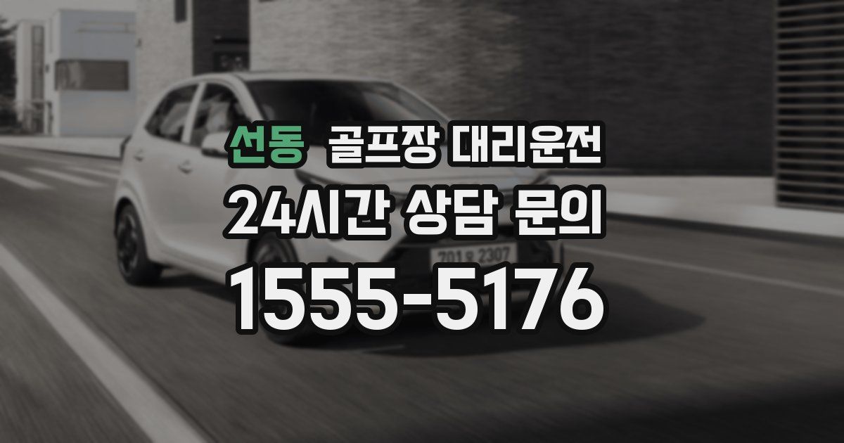 골프장 대리운전 서비스