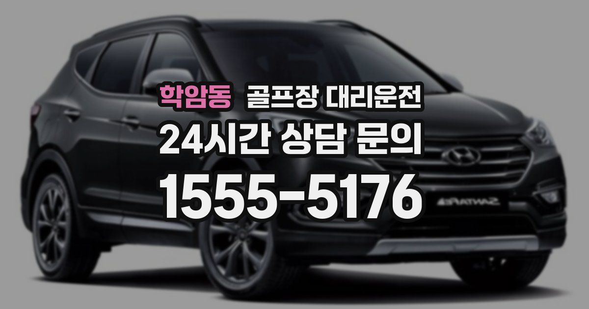 골프장 대리운전 서비스