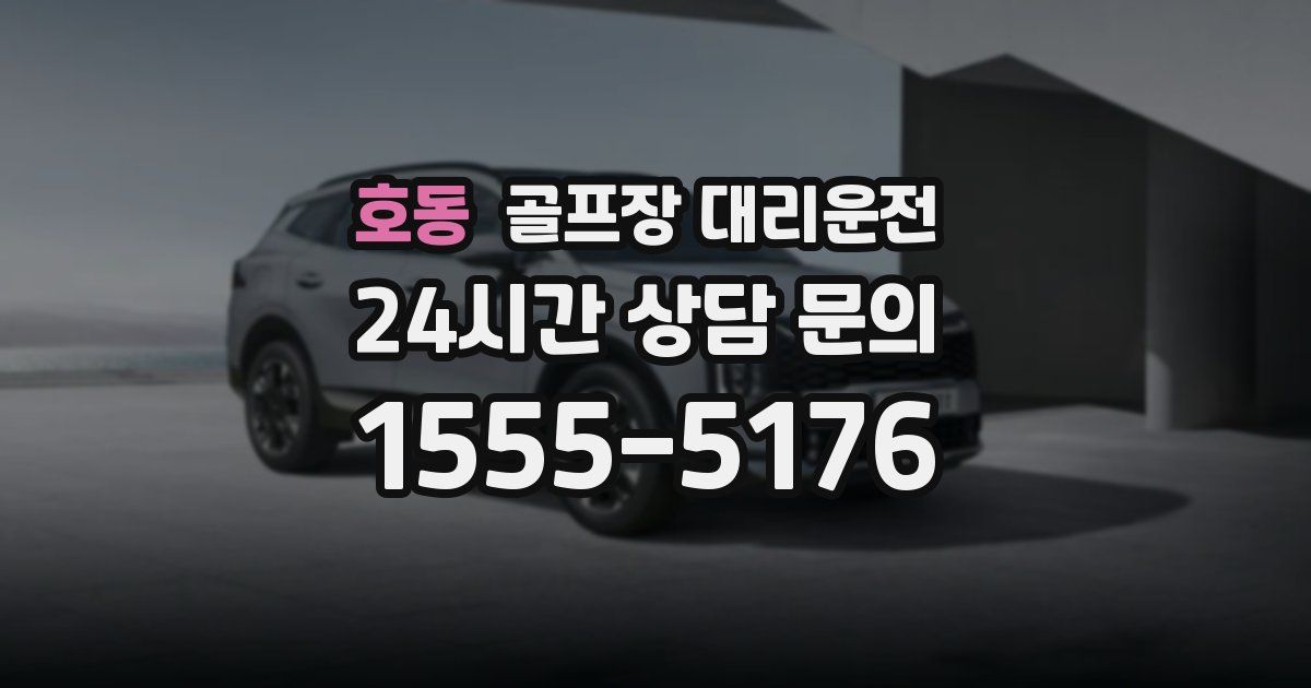 골프장 대리운전 서비스