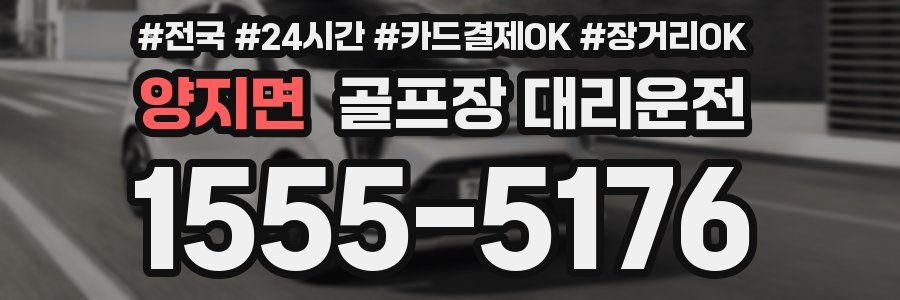 양지면 골프장 대리운전