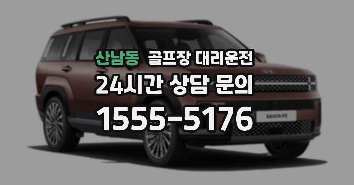 골프장 대리운전 서비스