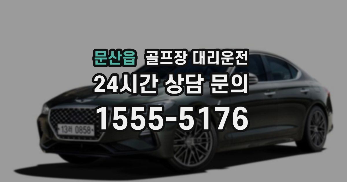 골프장 대리운전 서비스