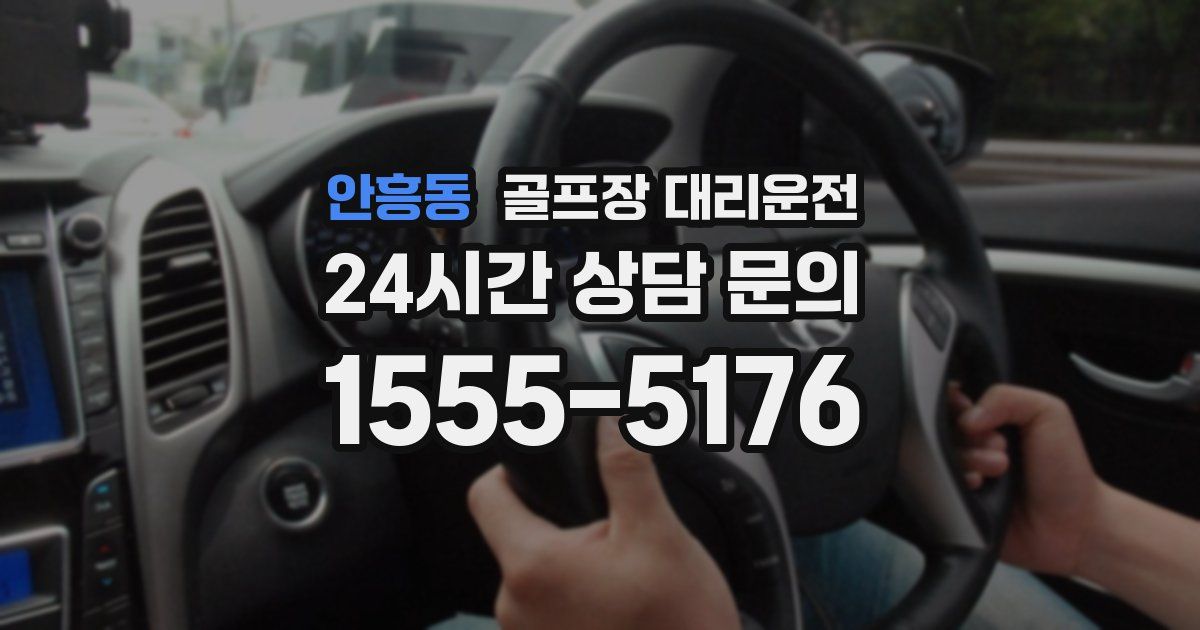 골프장 대리운전 서비스