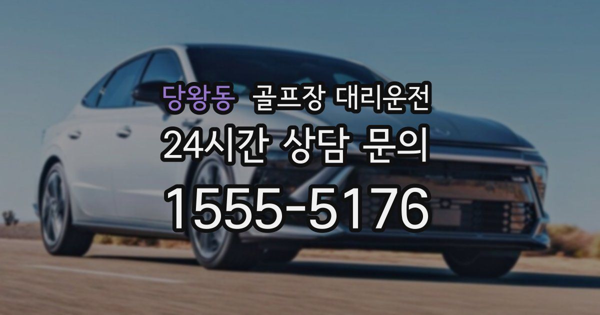 골프장 대리운전 서비스