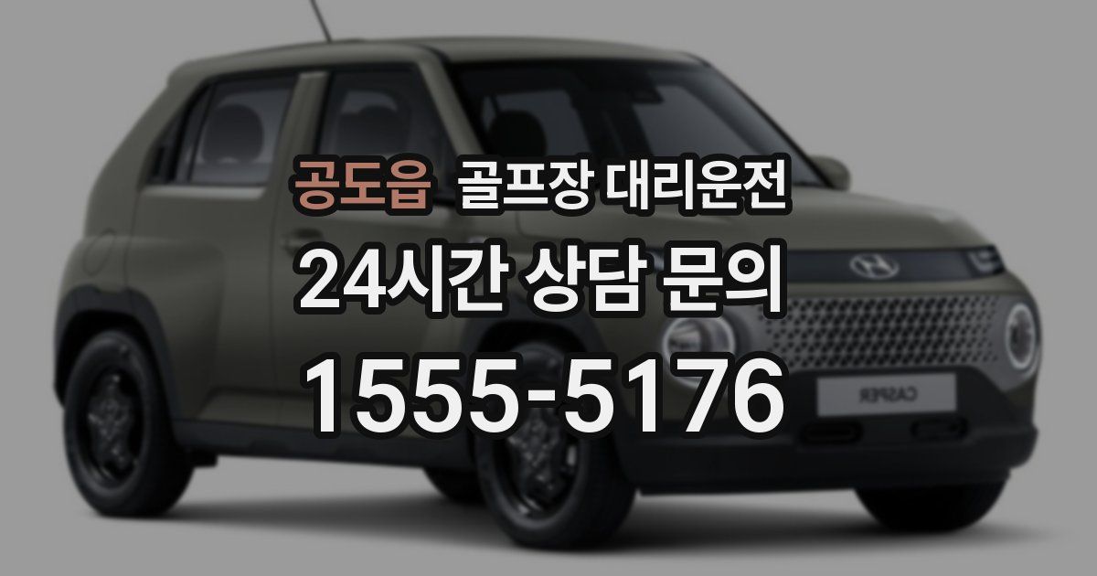 골프장 대리운전 서비스