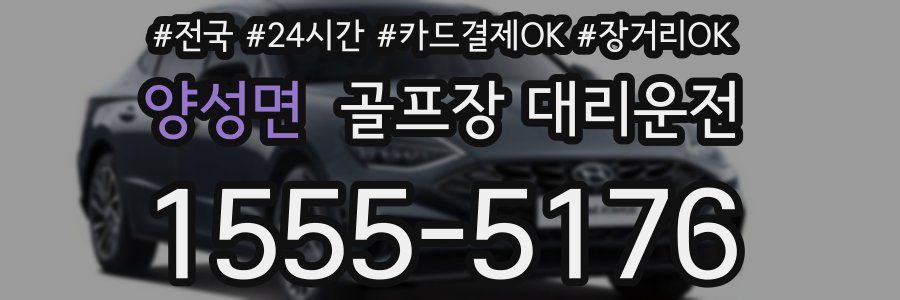 양성면 골프장 대리운전