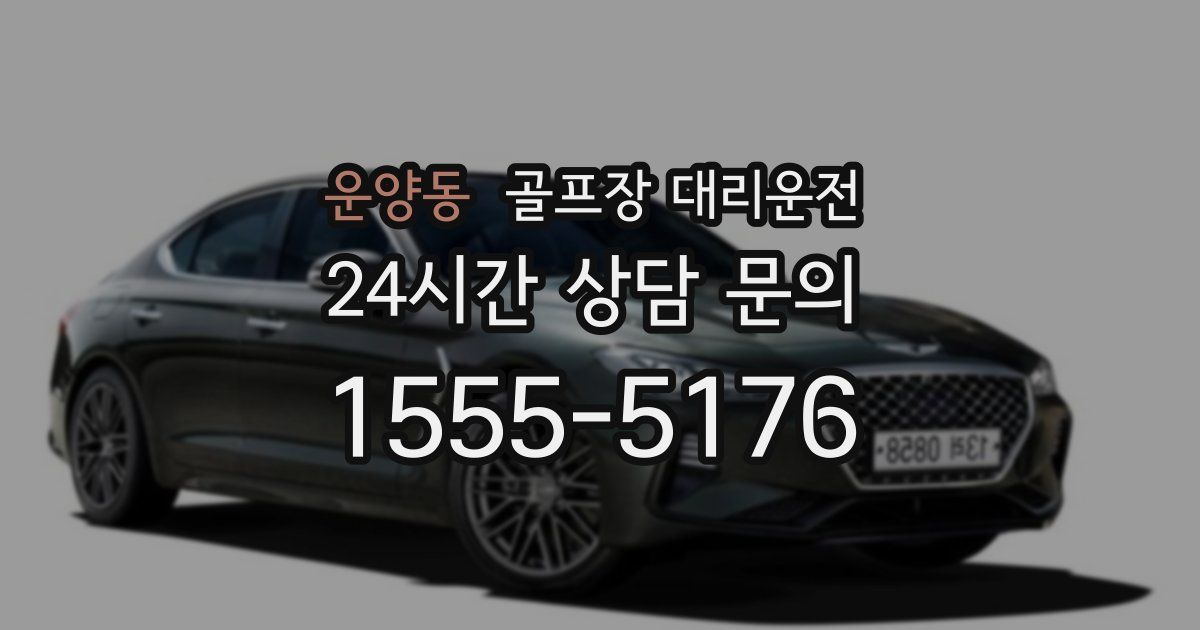 골프장 대리운전 서비스