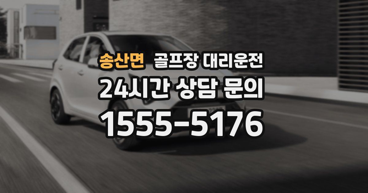 골프장 대리운전 서비스
