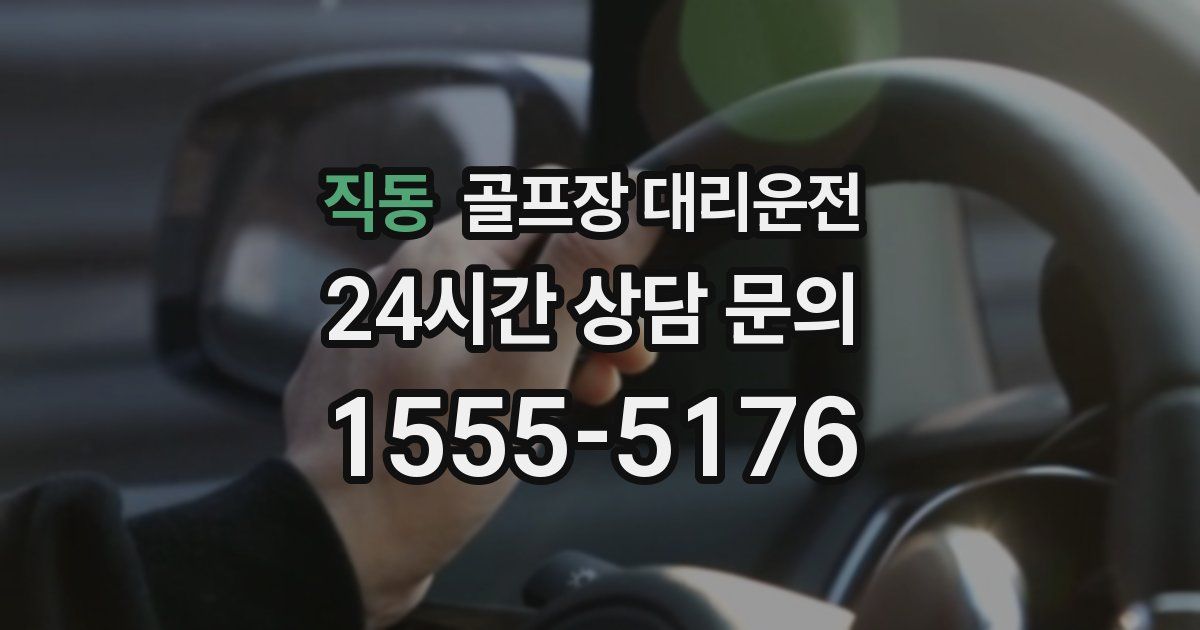 골프장 대리운전 서비스