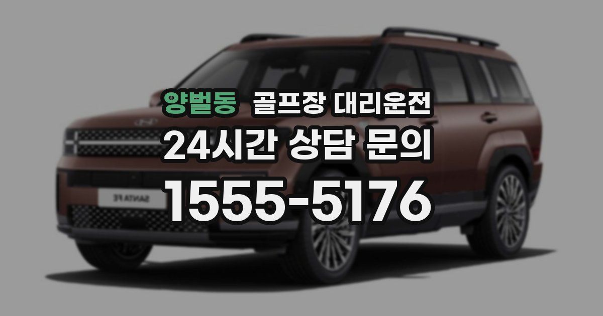 골프장 대리운전 서비스