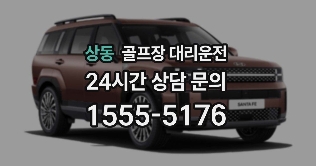 골프장 대리운전 서비스