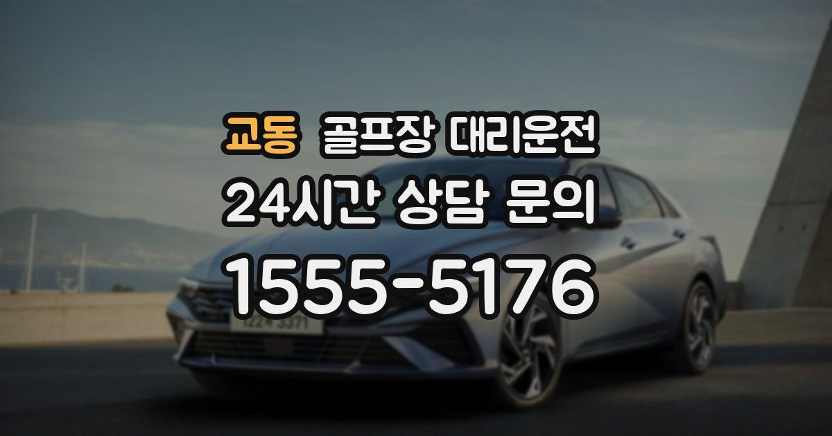 골프장 대리운전 서비스