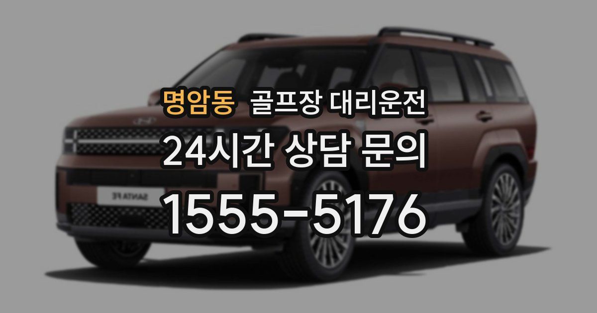 골프장 대리운전 서비스