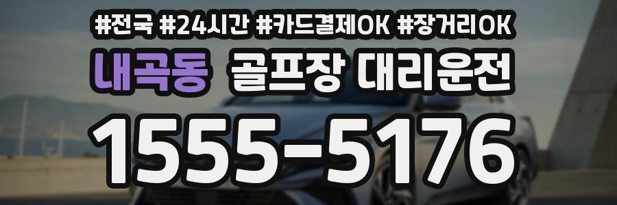 내곡동 골프장 대리운전