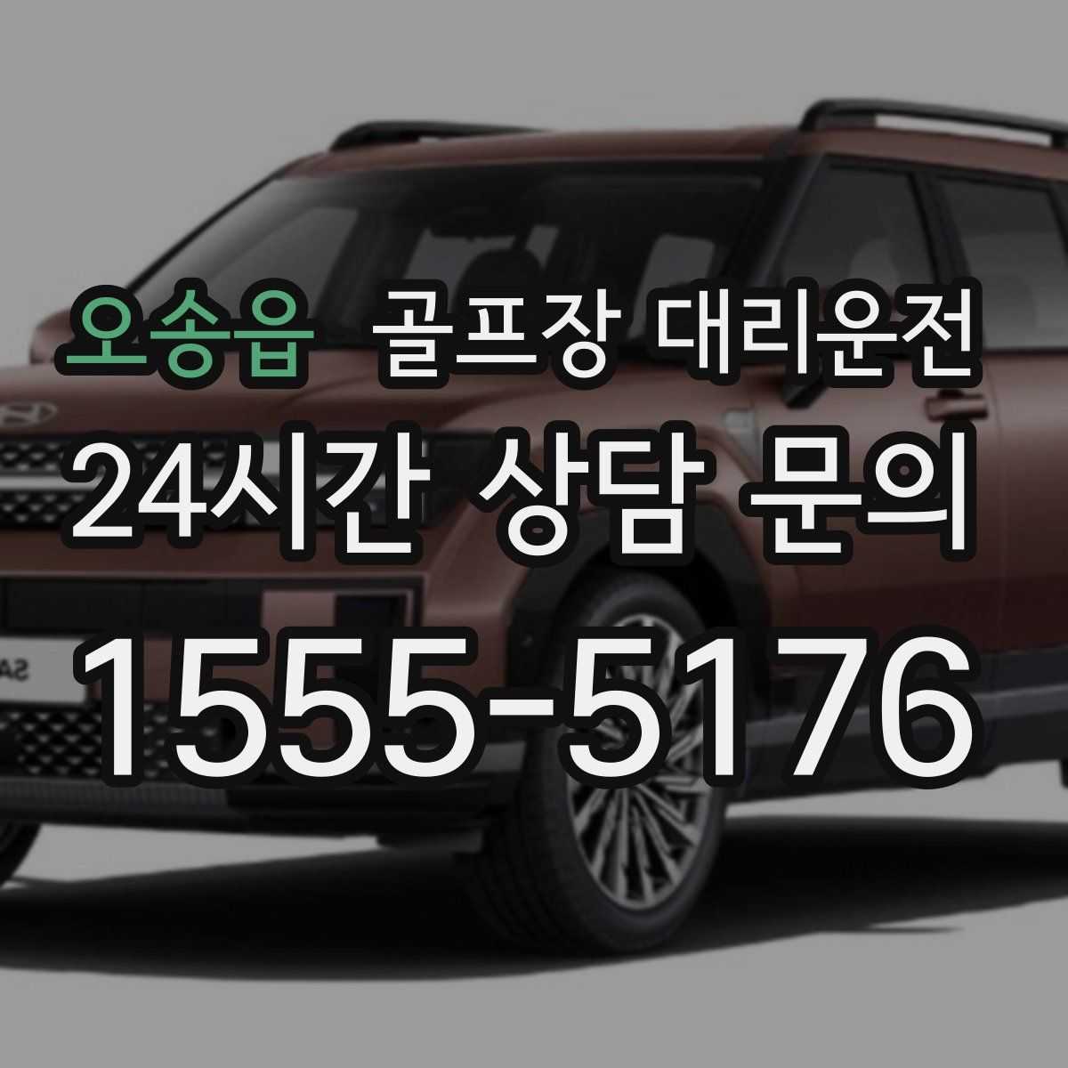 골프장 대리운전