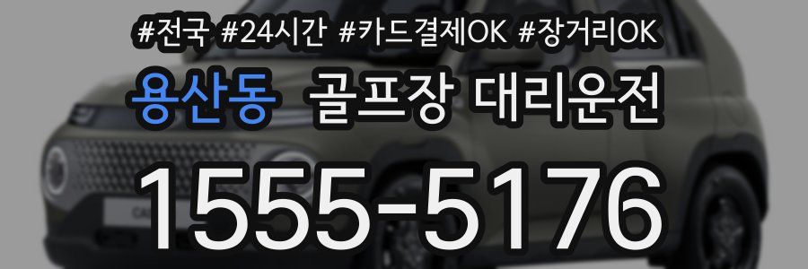 용산동 골프장 대리운전