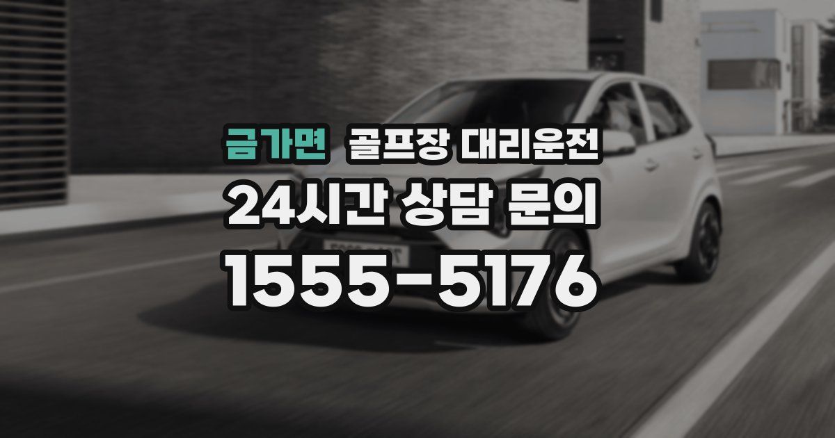 골프장 대리운전 서비스