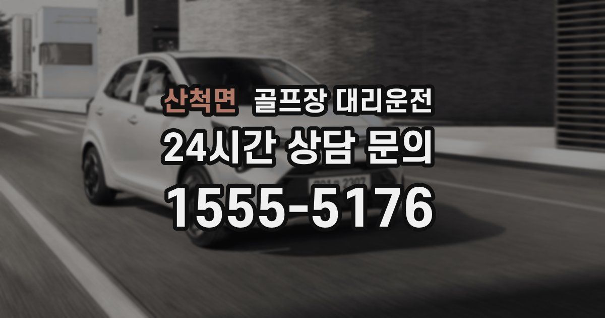 골프장 대리운전 서비스