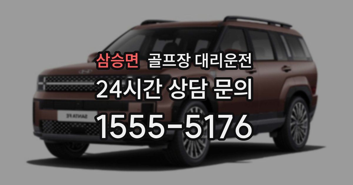 골프장 대리운전 서비스