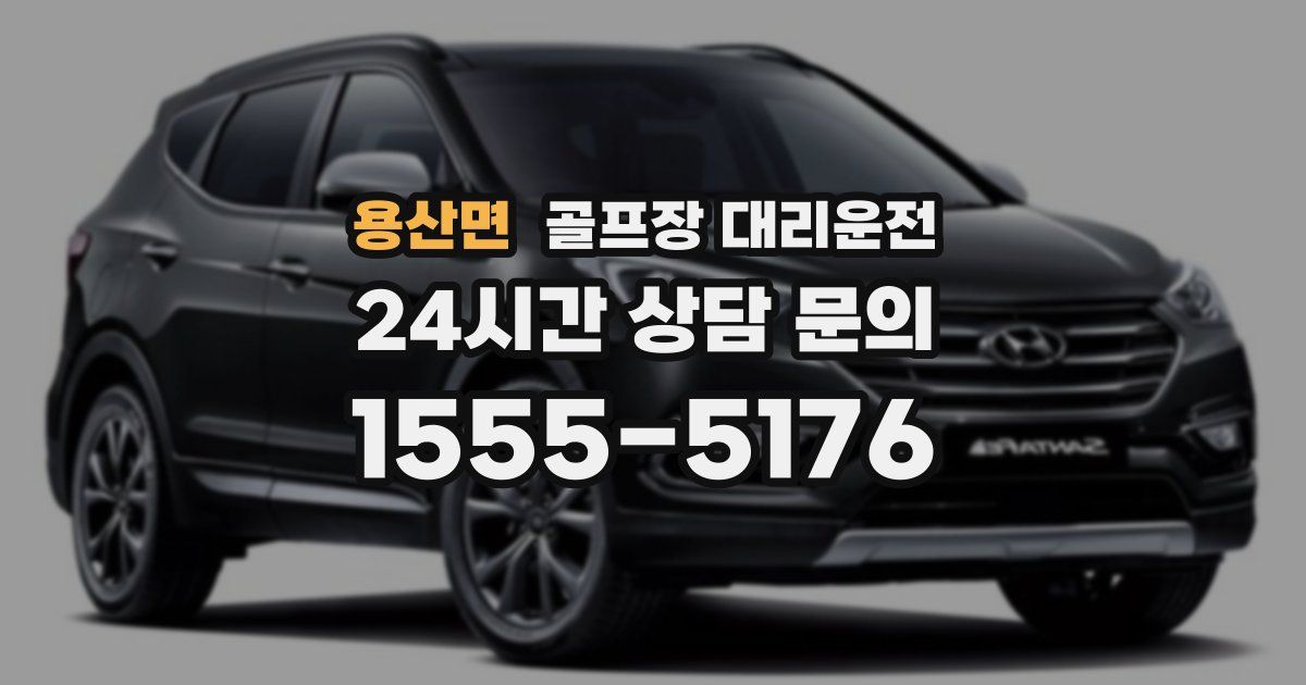 골프장 대리운전 서비스