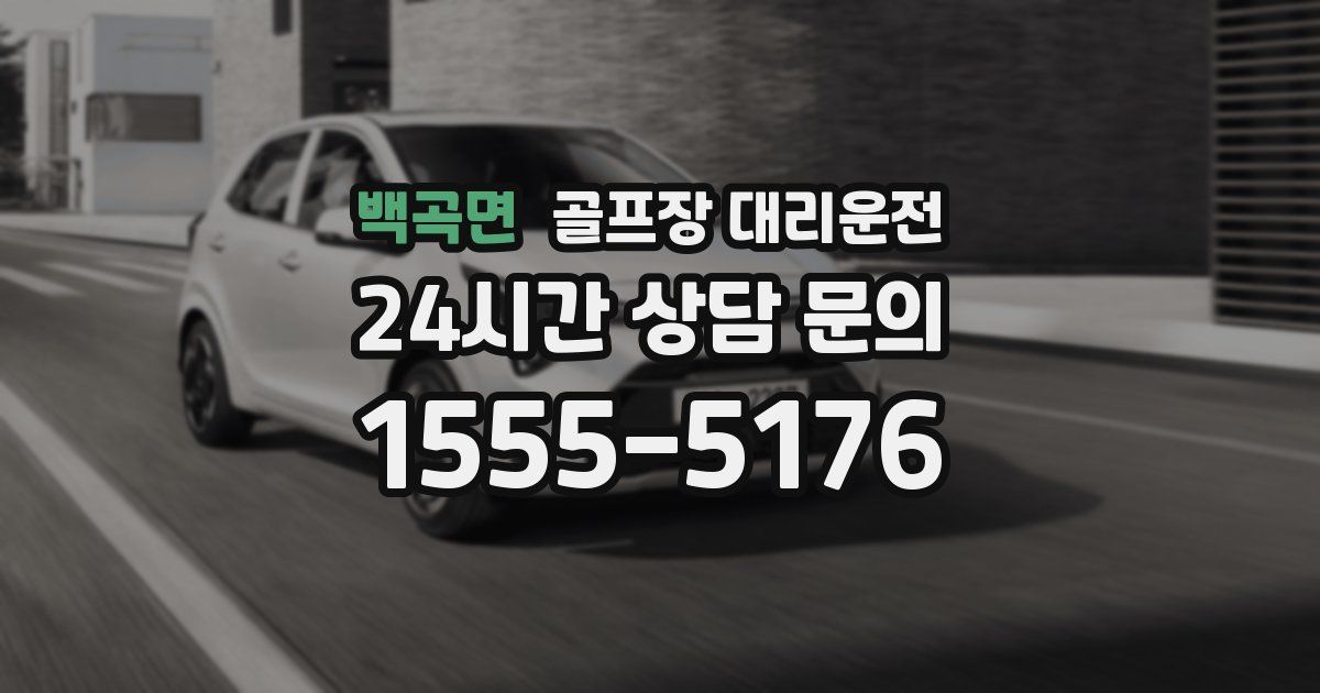 골프장 대리운전 서비스