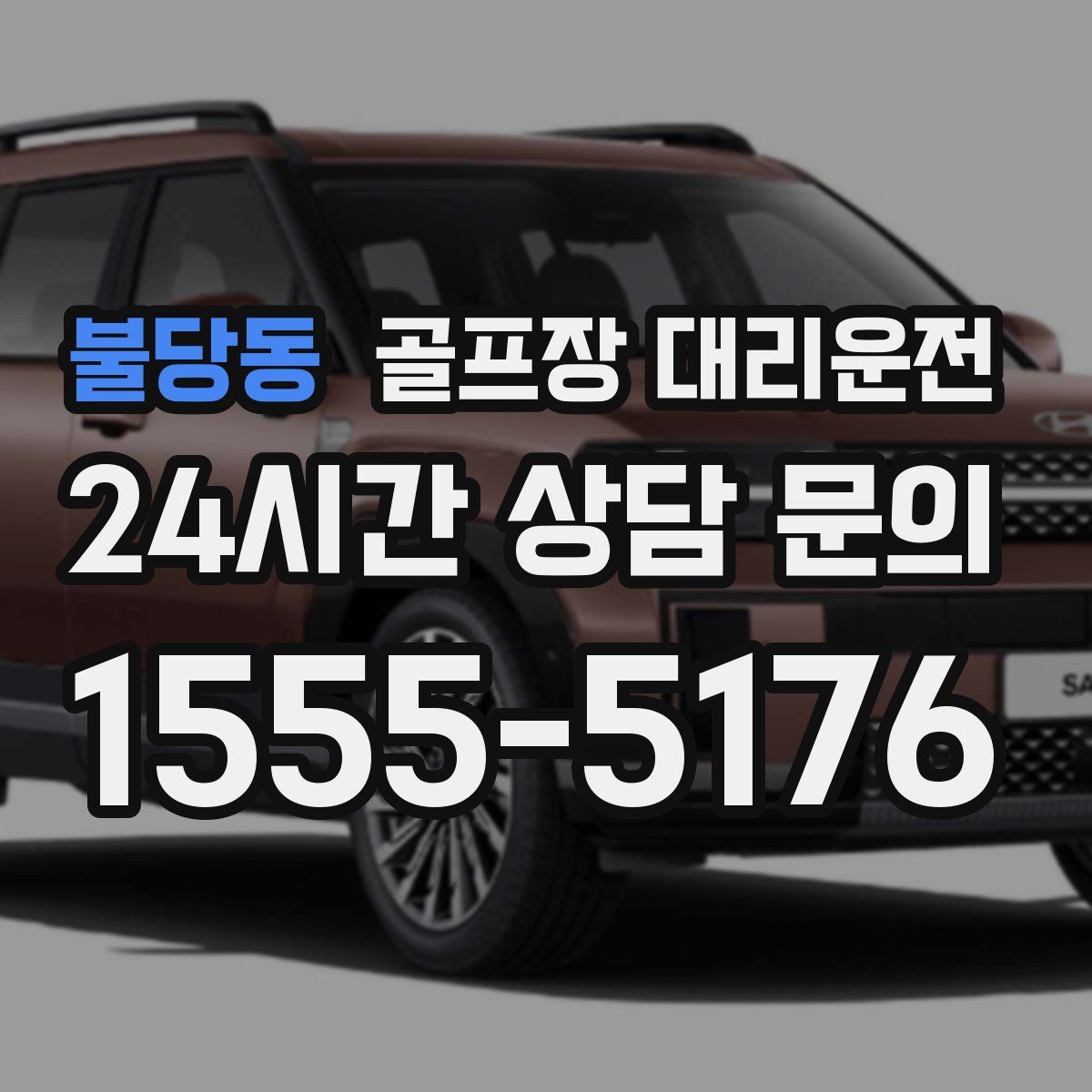 골프장 대리운전