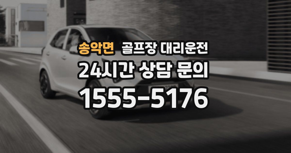 골프장 대리운전 서비스
