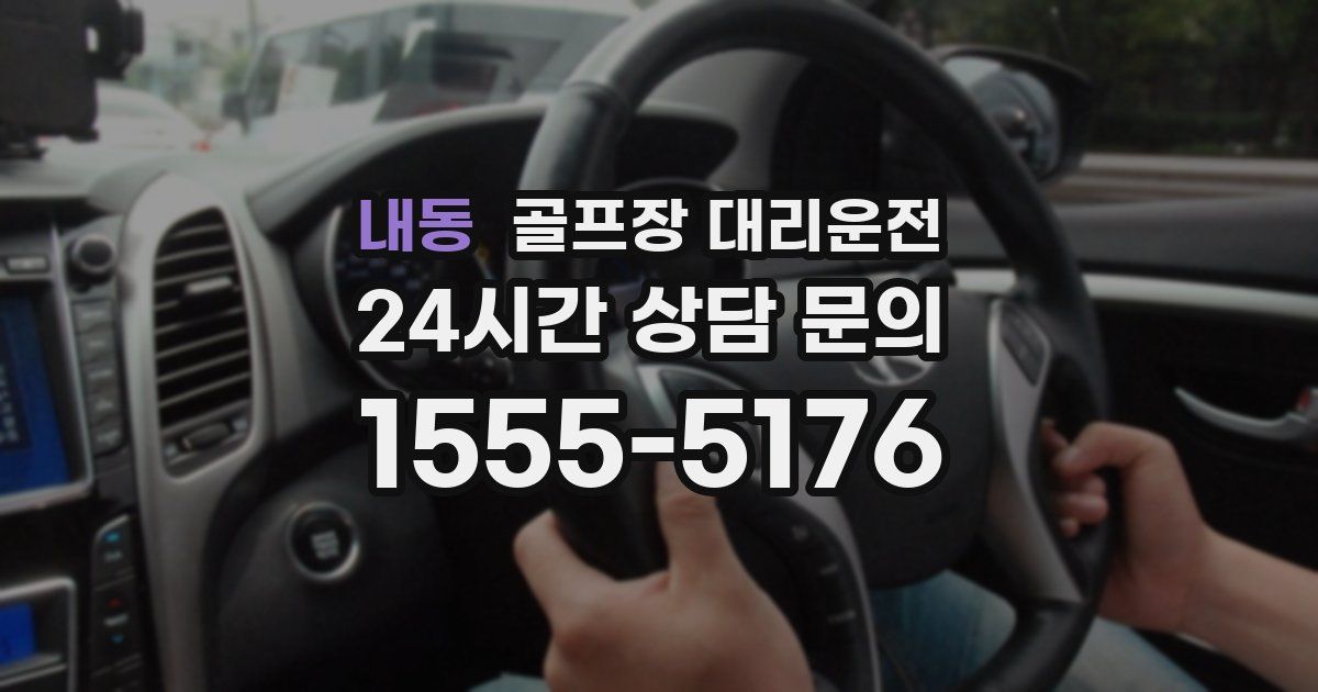 골프장 대리운전 서비스