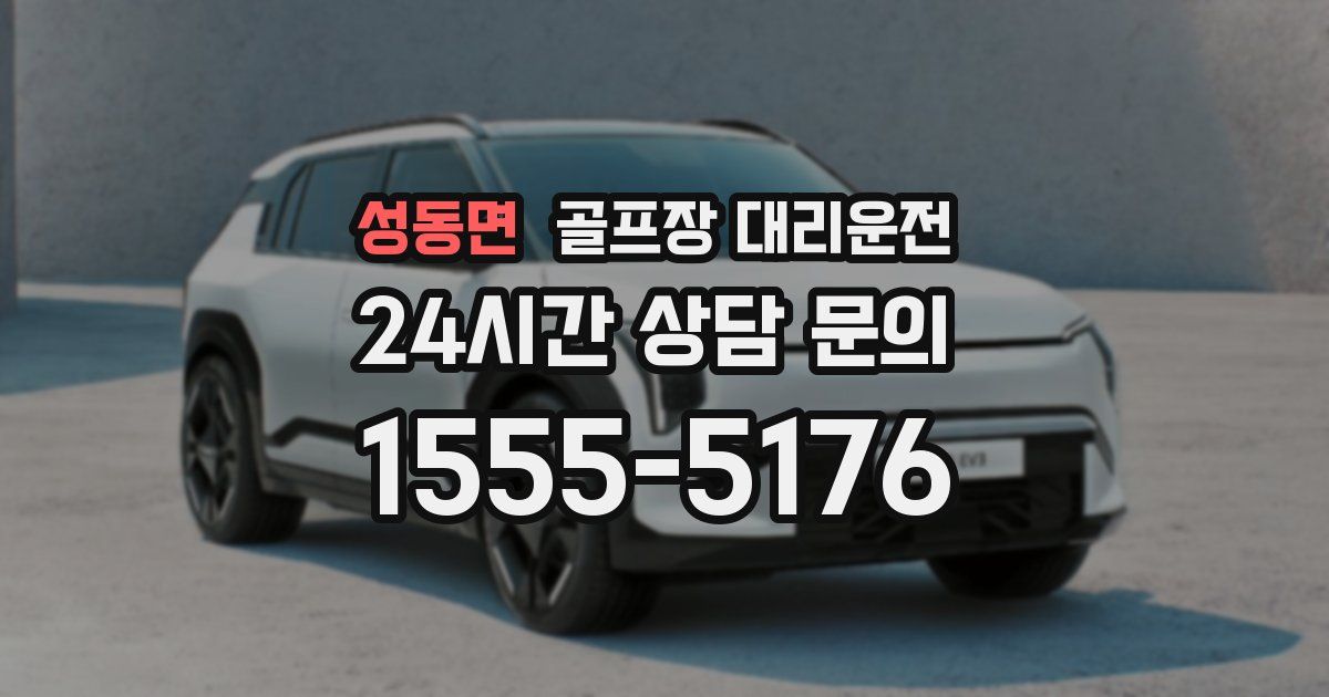 골프장 대리운전 서비스