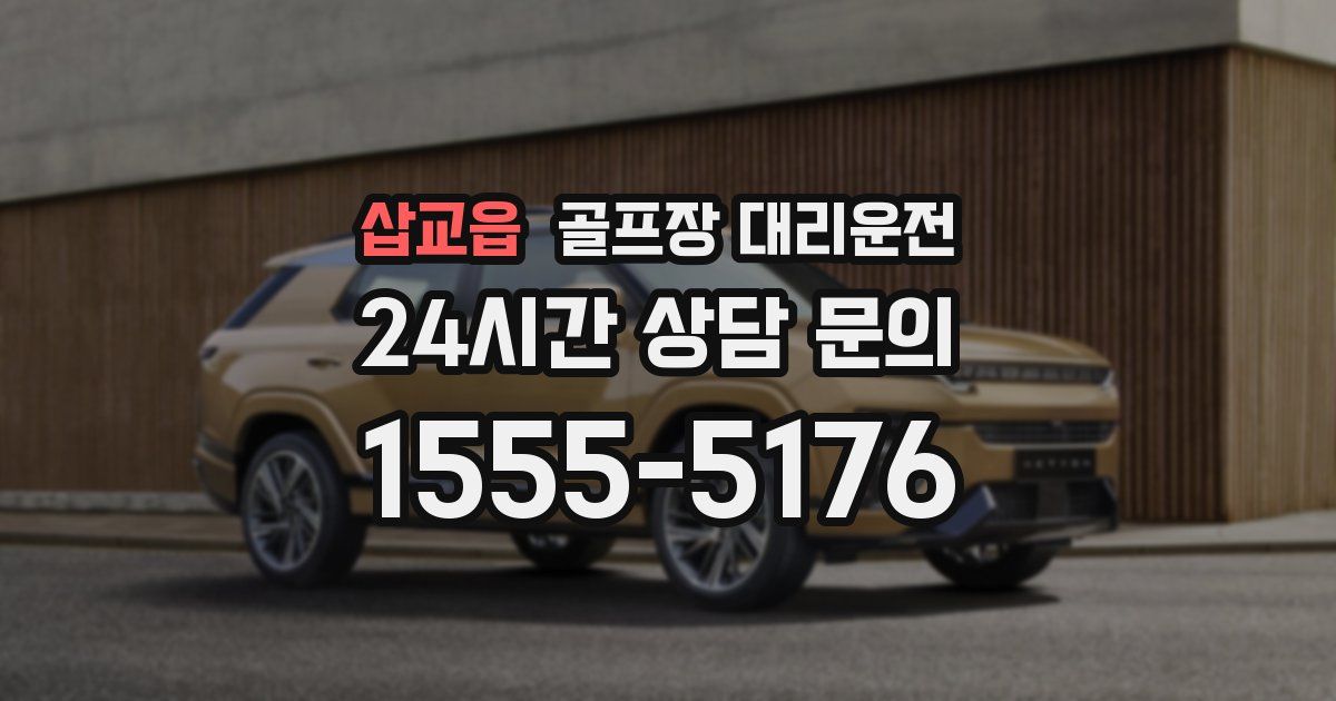 골프장 대리운전 서비스