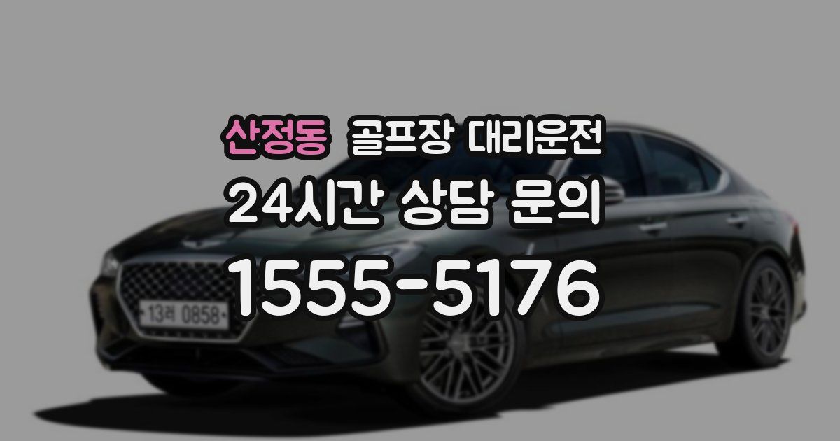 골프장 대리운전 서비스