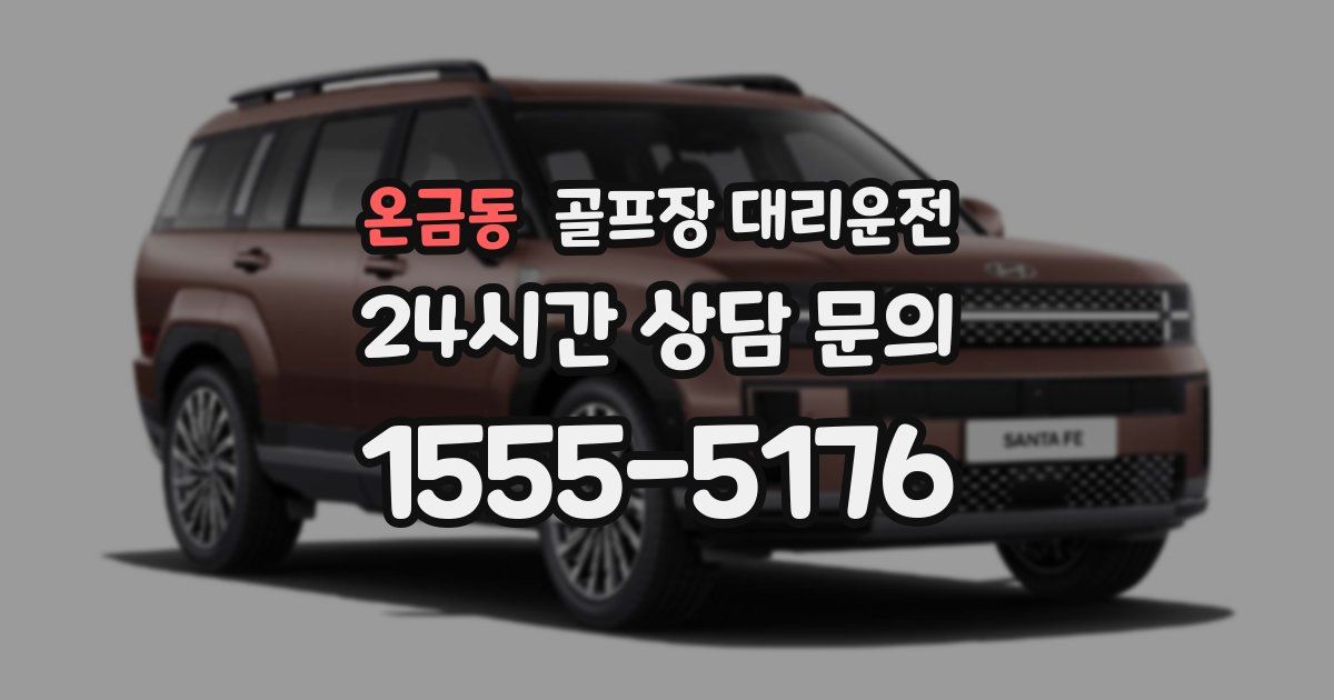 골프장 대리운전 서비스