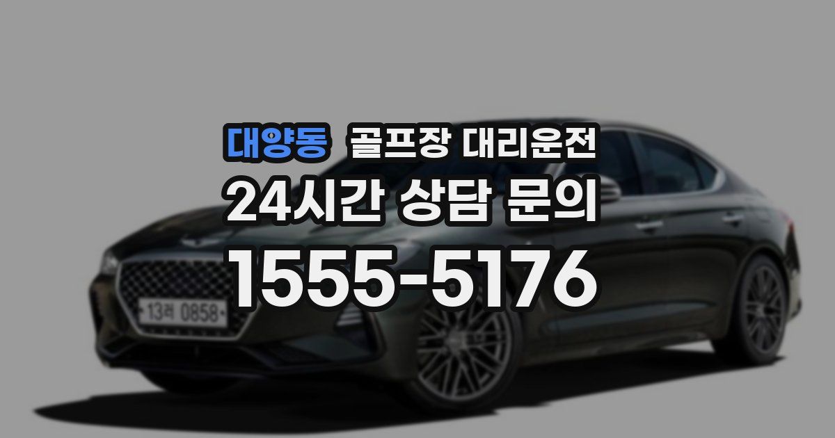 골프장 대리운전 서비스