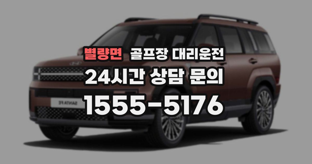 골프장 대리운전 서비스