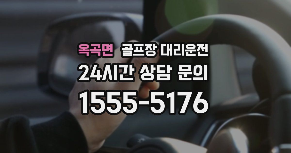 골프장 대리운전 서비스