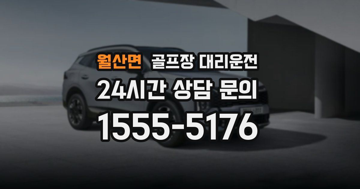 골프장 대리운전 서비스