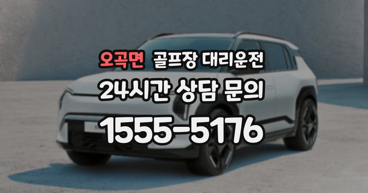 골프장 대리운전 서비스