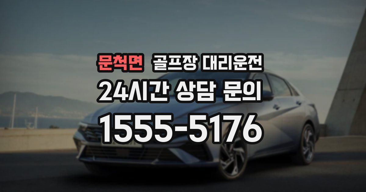 골프장 대리운전 서비스