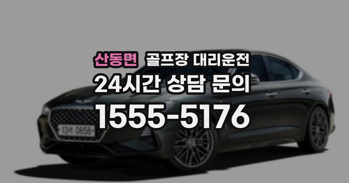 골프장 대리운전 서비스