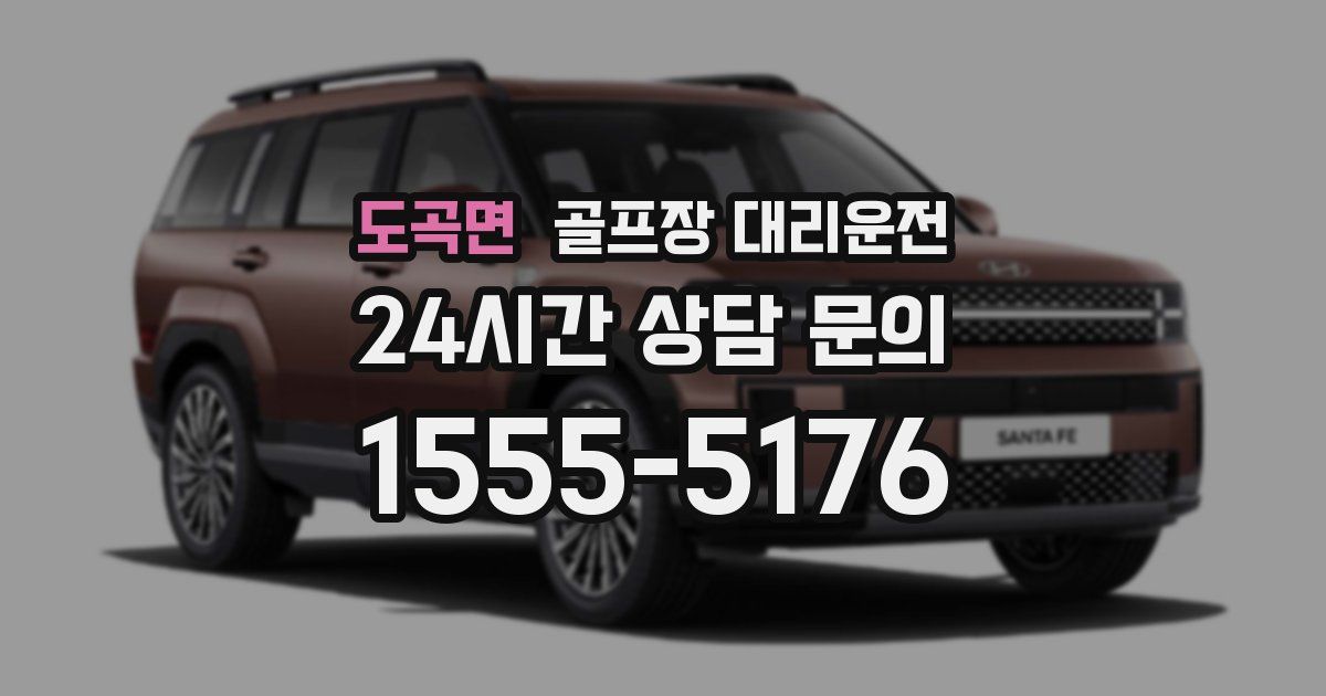 골프장 대리운전 서비스