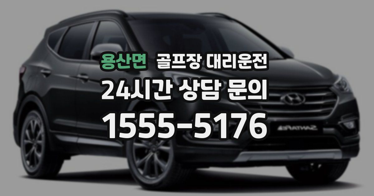 골프장 대리운전 서비스