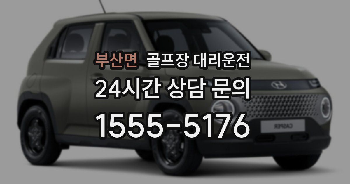 골프장 대리운전 서비스