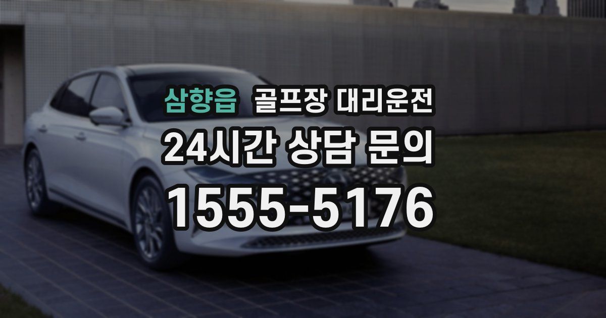 골프장 대리운전 서비스