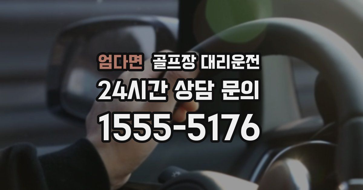 골프장 대리운전 서비스