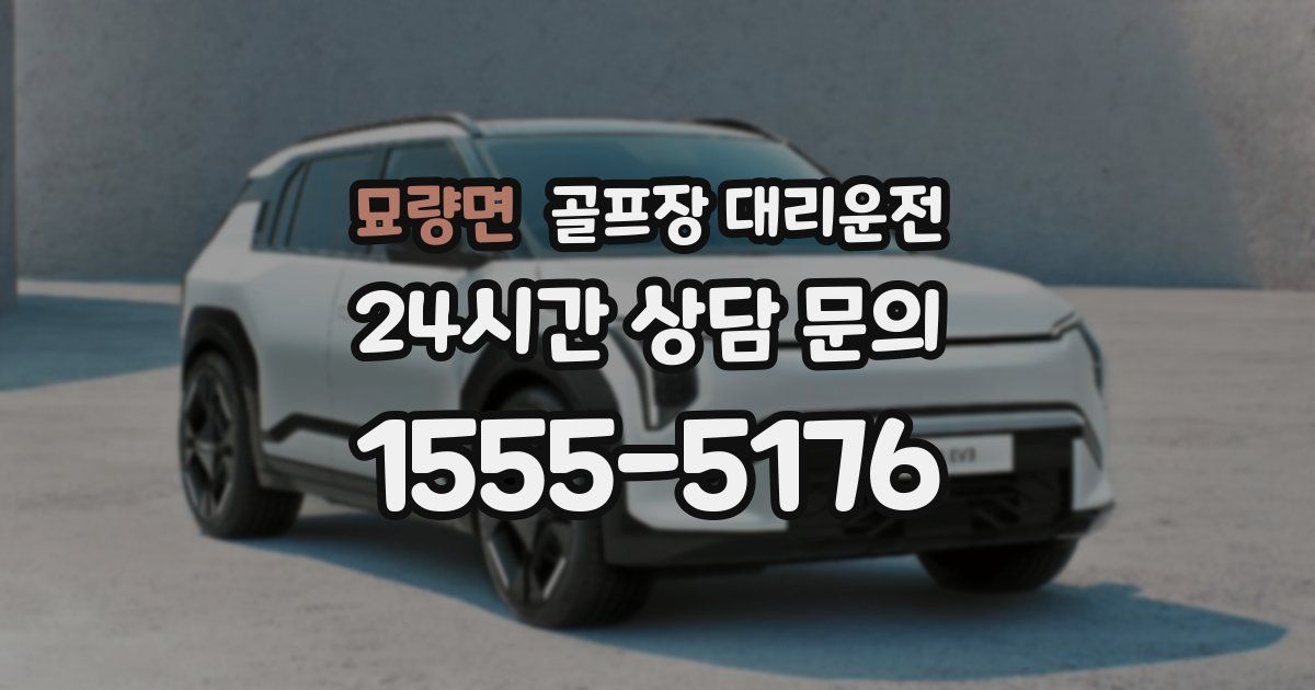 골프장 대리운전 서비스