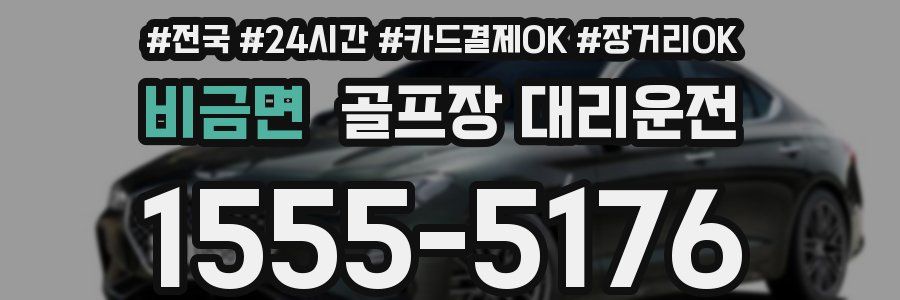 비금면 골프장 대리운전