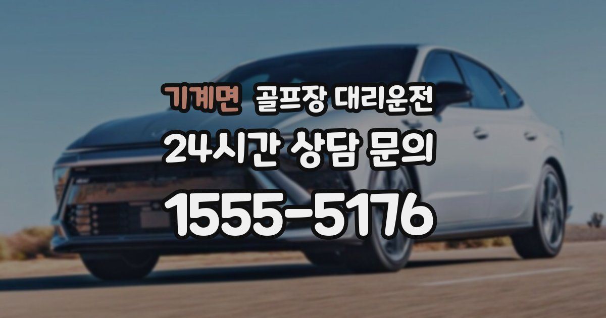 골프장 대리운전 서비스