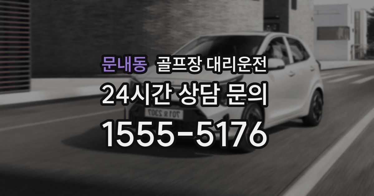 골프장 대리운전 서비스