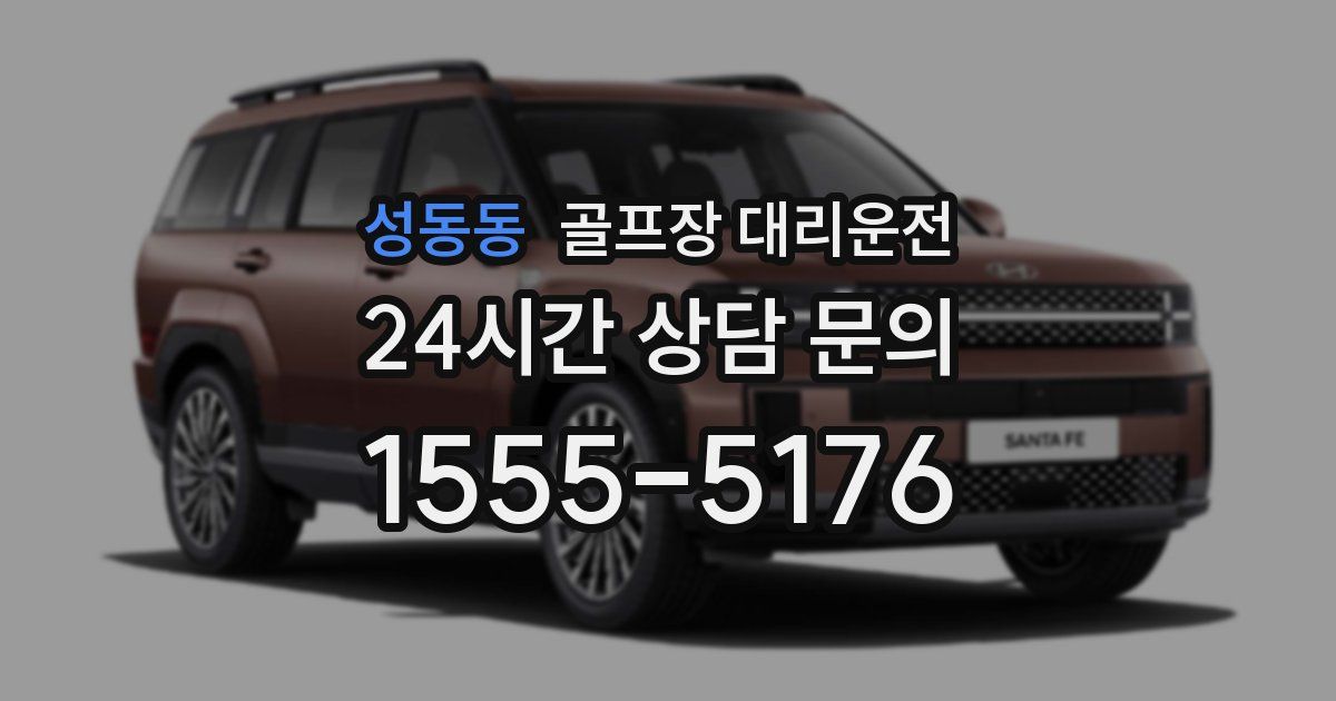 골프장 대리운전 서비스